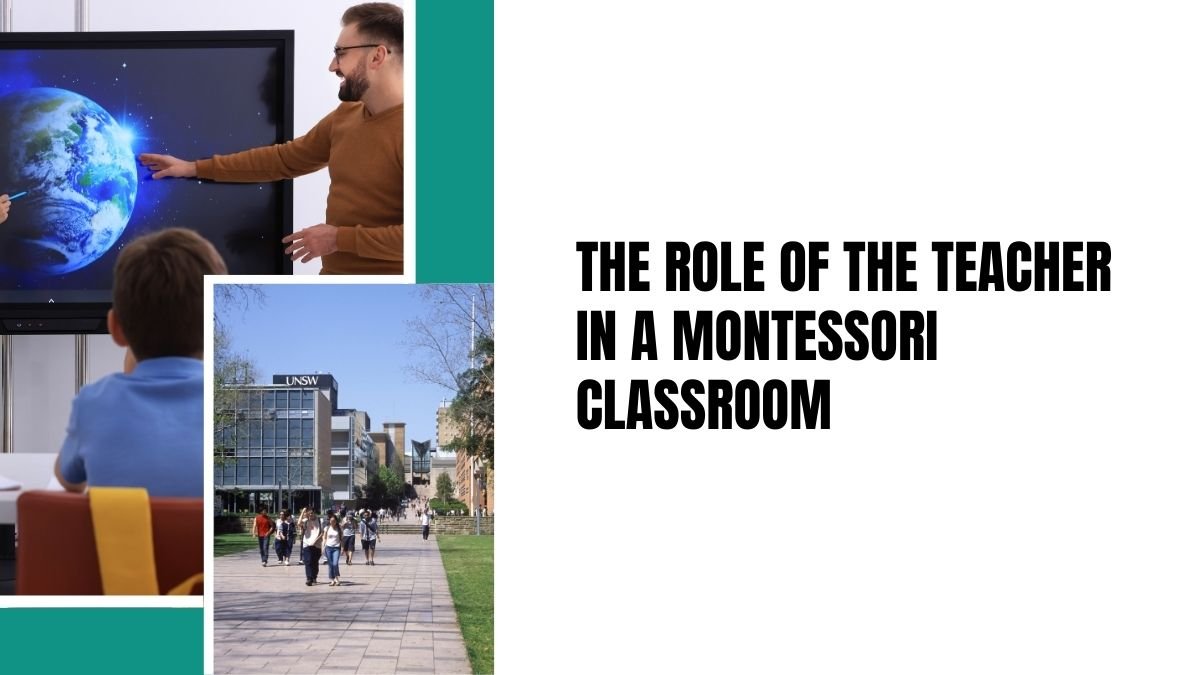 Montessori teacher role, Montessori classroom guide, Montessori education teacher, role of teacher in Montessori, Montessori teaching method,